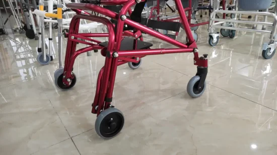 Customized Elderly Rollator Brother Medical China Disabled Crutches Crutch Adult Electric Walker